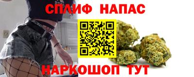 твердый Будённовск